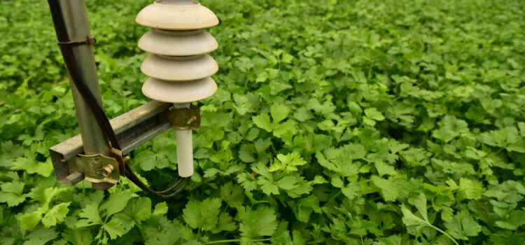 รู้จักและรู้ใช้ IoT …ก้าวสำคัญของเกษตรกรไทย รู้จักและรู้ใช้ IoT …ก้าวสำคัญของเกษตรกรไทย