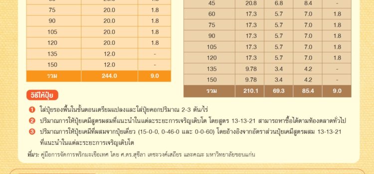 การให้ปุ๋ยในพริกและมะเขือเทศ