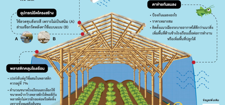 เรื่องต้องรู้ “การผลิตพืชผักในโรงเรือนต้นทุนต่ำ”