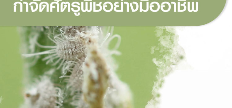 เสวนาออนไลน์ “รู้จัก-รู้ใช้ชีวภัณฑ์กำจัดศัตรูพืชอย่างมืออาชีพ”
