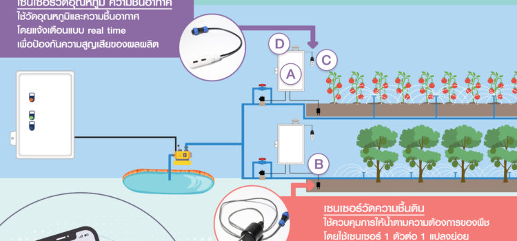 ระบบฟาร์มรักษ์น้ำ: เทคโนโลยีการให้น้ำอัจฉริยะสำหรับควบคุมการให้น้ำในแปลงเกษตร