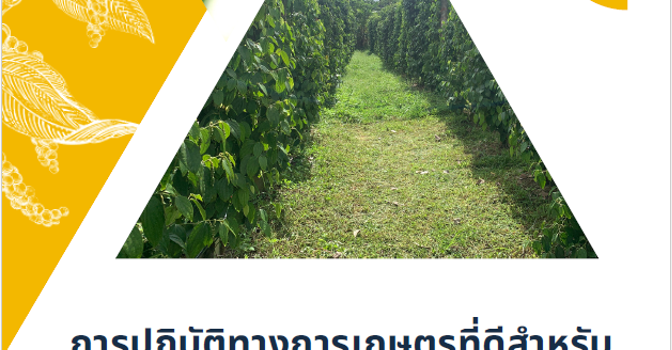 การปฏิบัติทางการเกษตรที่ดีสำหรับพริกไทย (GAP)