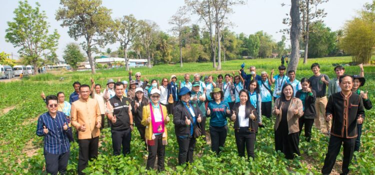 เกษตรกรเฮปลูกถั่วเขียวคุณภาพ KUML รายได้ไม่ธรรมดา สวทช.-พันธมิตรหนุนปลูกครบวงจรใช้กลไก ‘ตลาดนำการผลิต’