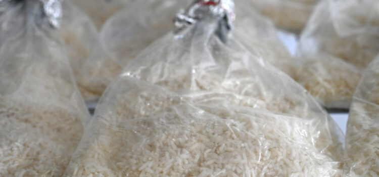 บิวเวอเรีย บาเซียนา : รากำจัดแมลงศัตรูพืช