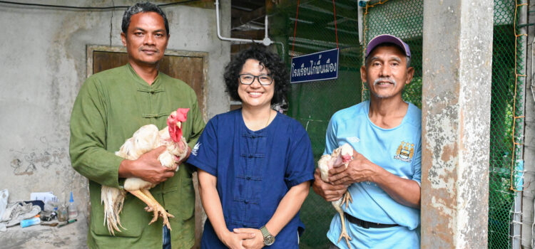 ‘ไก่พื้นเมืองแดนใต้’ จัดการด้วยความรู้อย่างมืออาชีพ