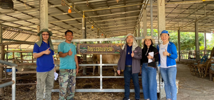สท.-มรภ.อุบลฯ หารือเชื่อมโยงตลาดโคเนื้อทุ่งกุลาฯ พร้อมติดตามการขยายผลความรู้เกษตรกรผู้เลี้ยงโคเนื้อโคขุน สท.-มรภ.อุบลฯ หารือเชื่อมโยงตลาดโคเนื้อทุ่งกุลาฯ พร้อมติดตามการขยายผลความรู้เกษตรกรผู้เลี้ยงโคเนื้อโคขุน