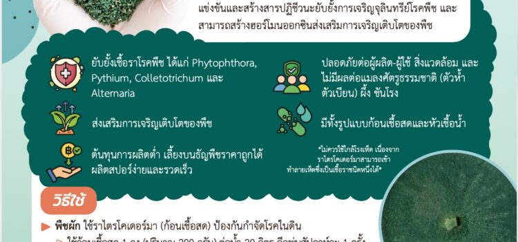 รู้จัก-รู้ใช้ ราไตรโคเดอร์มา TBRC4734