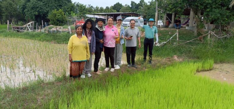 สท.-ไบโอเทค จับมือศูนย์วิจัยข้าวสุรินทร์ เติมความรู้เกษตรกรรู้จัก-จัดการศัตรูข้าวด้วยเทคโนโลยี