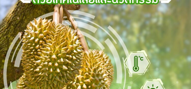 การบริหารจัดการ “สวนทุเรียน” ด้วยเทคโนโลยีและนวัตกรรม