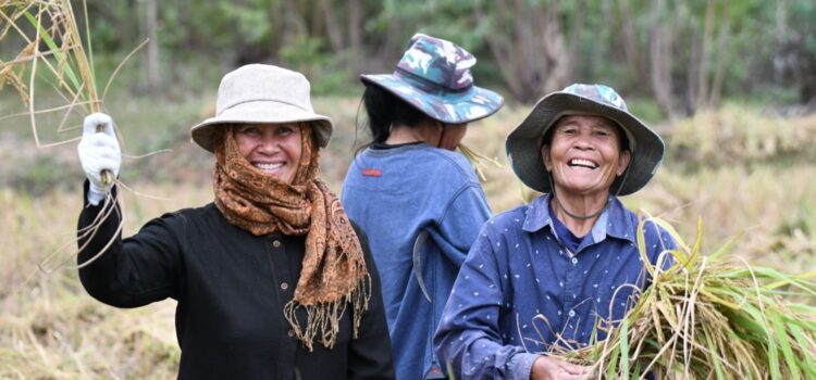 สท. พลิกโฉมข้าวทุ่งกุลาฯ ด้วย ‘นวัตกรรมข้าวไทย’ สู่การผลิตอาหารคุณภาพอย่างยั่งยืน สท. พลิกโฉมข้าวทุ่งกุลาฯ ด้วย ‘นวัตกรรมข้าวไทย’ สู่การผลิตอาหารคุณภาพอย่างยั่งยืน