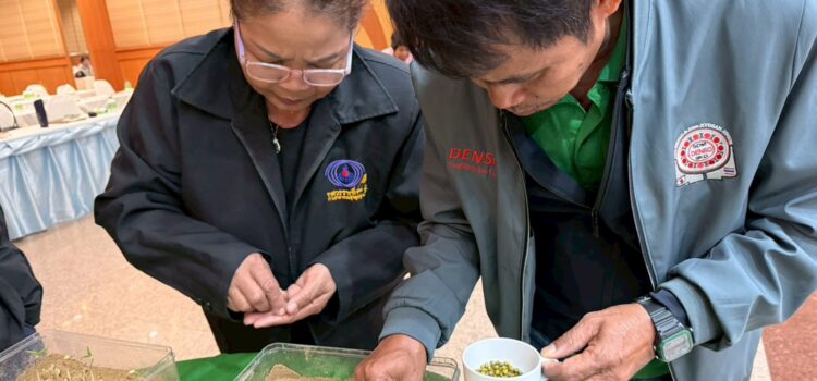 สท.-ม.เกษตรศาสตร์-สนง.เกษตรยโสธร ติวเข้มเจ้าหน้าที่ผลิตเมล็ดพันธุ์ถั่วเขียว KUML พร้อมให้ความรู้เกษตรกรกว่า 300 ราย ลดเผา สร้างรายได้หลังนา สท.-ม.เกษตรศาสตร์-สนง.เกษตรยโสธร ติวเข้มเจ้าหน้าที่ผลิตเมล็ดพันธุ์ถั่วเขียว KUML พร้อมให้ความรู้เกษตรกรกว่า 300 ราย ลดเผา สร้างรายได้หลังนา