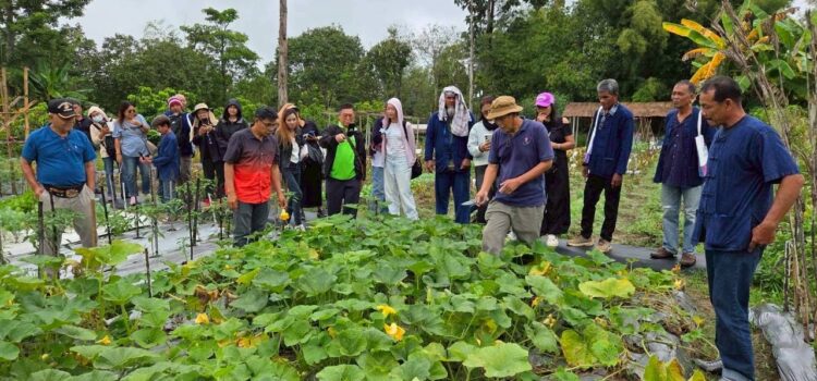 สท. นำเกษตรกรสงขลา-กาฬสินธุ์เปิดโลกเรียนรู้ “ผลิตพืชผักประณีตในระบบอินทรีย์” ที่เชียงใหม่ สท. นำเกษตรกรสงขลา-กาฬสินธุ์เปิดโลกเรียนรู้ “ผลิตพืชผักประณีตในระบบอินทรีย์” ที่เชียงใหม่