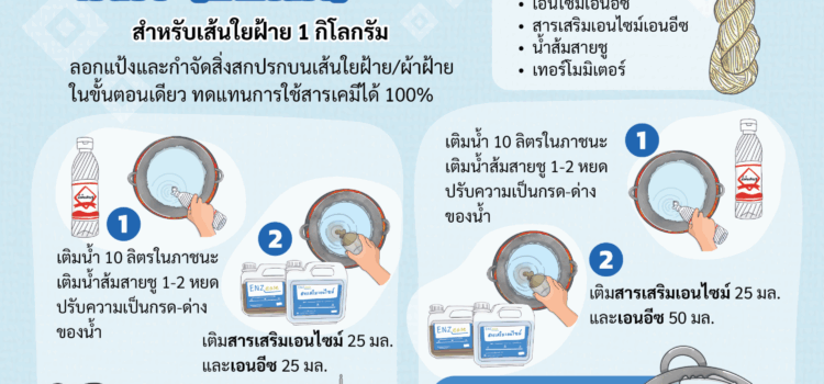 เทคโนโลยีเอนไซม์ เพิ่มประสิทธิภาพเส้นใย ปลอดภัยต่อผู้ใช้และสิ่งแวดล้อม