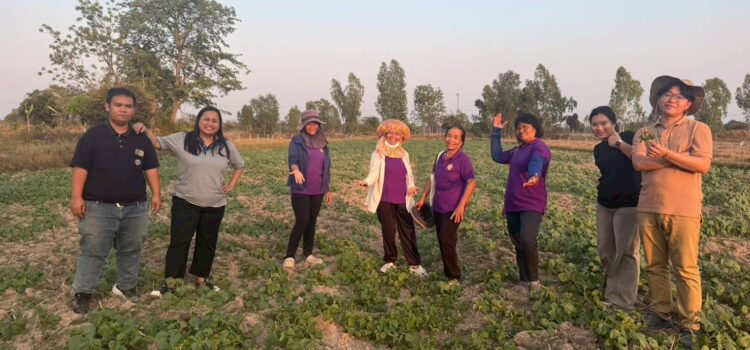 สท.-สนง.เกษตรสุรินทร์-มูลนิธิชัยพัฒนา ร่วมลงพื้นที่ติดตามแปลงเกษตรกรถั่วเขียว KUML พร้อมมอบไตรโคเดอร์มาป้องกันโรคในแปลงอินทรีย์