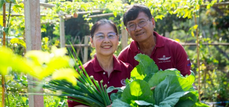 60+ ปลูกสุขกินได้: เกษียณสำราญด้วยผักอินทรีย์