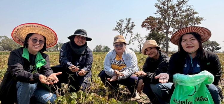 สท. ผนึกม.เกษตรศาสตร์-สนง.เกษตรยโสธร ติดตามการผลิตถั่วเขียว KUML เกษตรกร 9 อำเภอ สท. ผนึกม.เกษตรศาสตร์-สนง.เกษตรยโสธร ติดตามการผลิตถั่วเขียว KUML เกษตรกร 9 อำเภอ