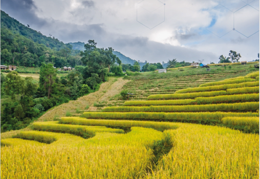 พลังวิทย์เพื่อชุมชน