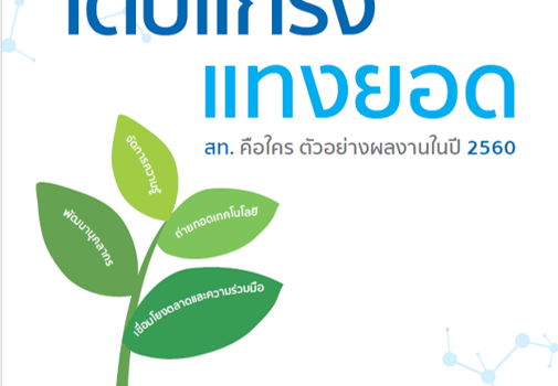 เติบแกร่งแทงยอด สท. คือใคร ตัวอย่างผลงานปี 2560