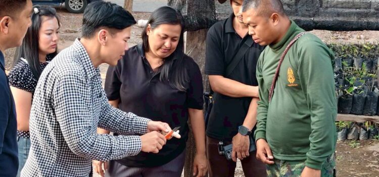 สท.-ม.แม่โจ้ร่วมกับมูลนิธิชัยพัฒนา เติมความรู้ผลิตขมิ้นชันอินทรีย์ให้ทหารค่ายสมเด็จพระเอกาทศรถ พิษณุโลก