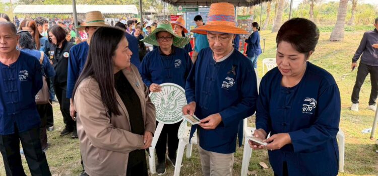 สท. ร่วมงาน Green Grain Day ยโสธร ปลูกถั่วเขียว KUML สร้างรายได้ ลดการเผา