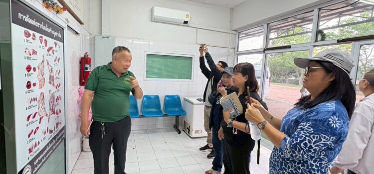 สท. นำเกษตรกรผู้เลี้ยงโคขุนทุ่งกุลา แลกเปลี่ยนเรียนรู้เลี้ยงโคเนื้อตลอดห่วงโซ่การผลิต-เชื่อมโยงซื้อขายโคเนื้อกับตลาดรับซื้อ