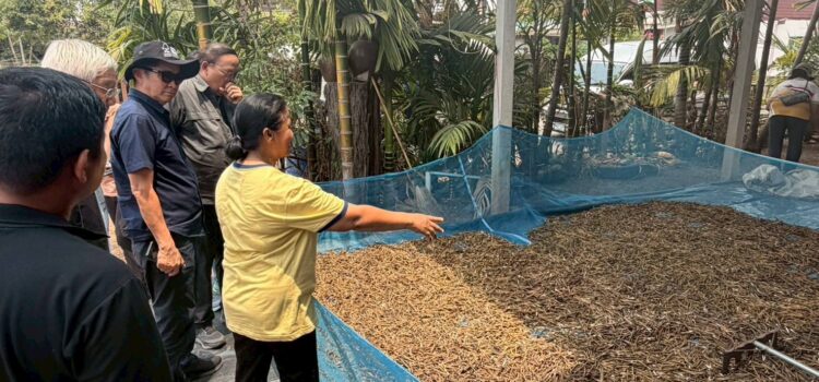 สท. เดินหน้างานถั่วเขียว KUML รับคณะผู้ตรวจประเมินที่ศรีสะเกษ ทดสอบใช้เครื่องกระเทาะฝักถั่วเขียวกับเกษตรกรสุรินทร์