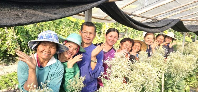 โรงเรือนหลักพัน สร้างรายได้หลักหมื่น ยกระดับผักอินทรีย์ยางสีสุราช
