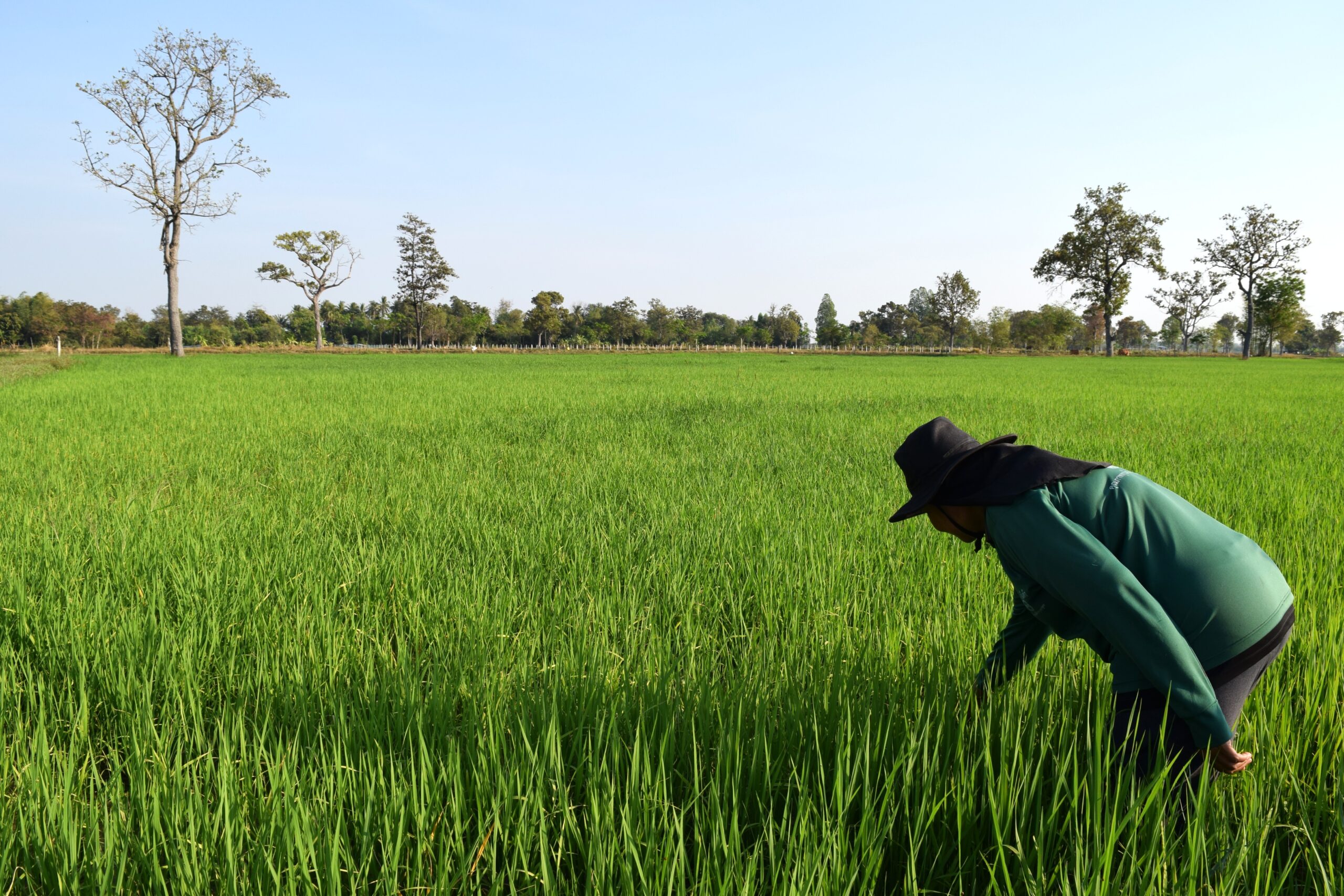 ยกระดับวิถีทำนา “บ้านหนองกก” ด้วยนวัตกรรม