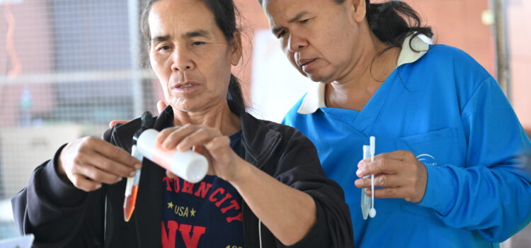 เมื่อ “ศูนย์ดินปุ๋ยชุมชน” ยกระดับมันสำปะหลังอินทรีย์ด้วย “ชุดวิเคราะห์ดินแบบพกพา” เมื่อ “ศูนย์ดินปุ๋ยชุมชน” ยกระดับมันสำปะหลังอินทรีย์ด้วย “ชุดวิเคราะห์ดินแบบพกพา”