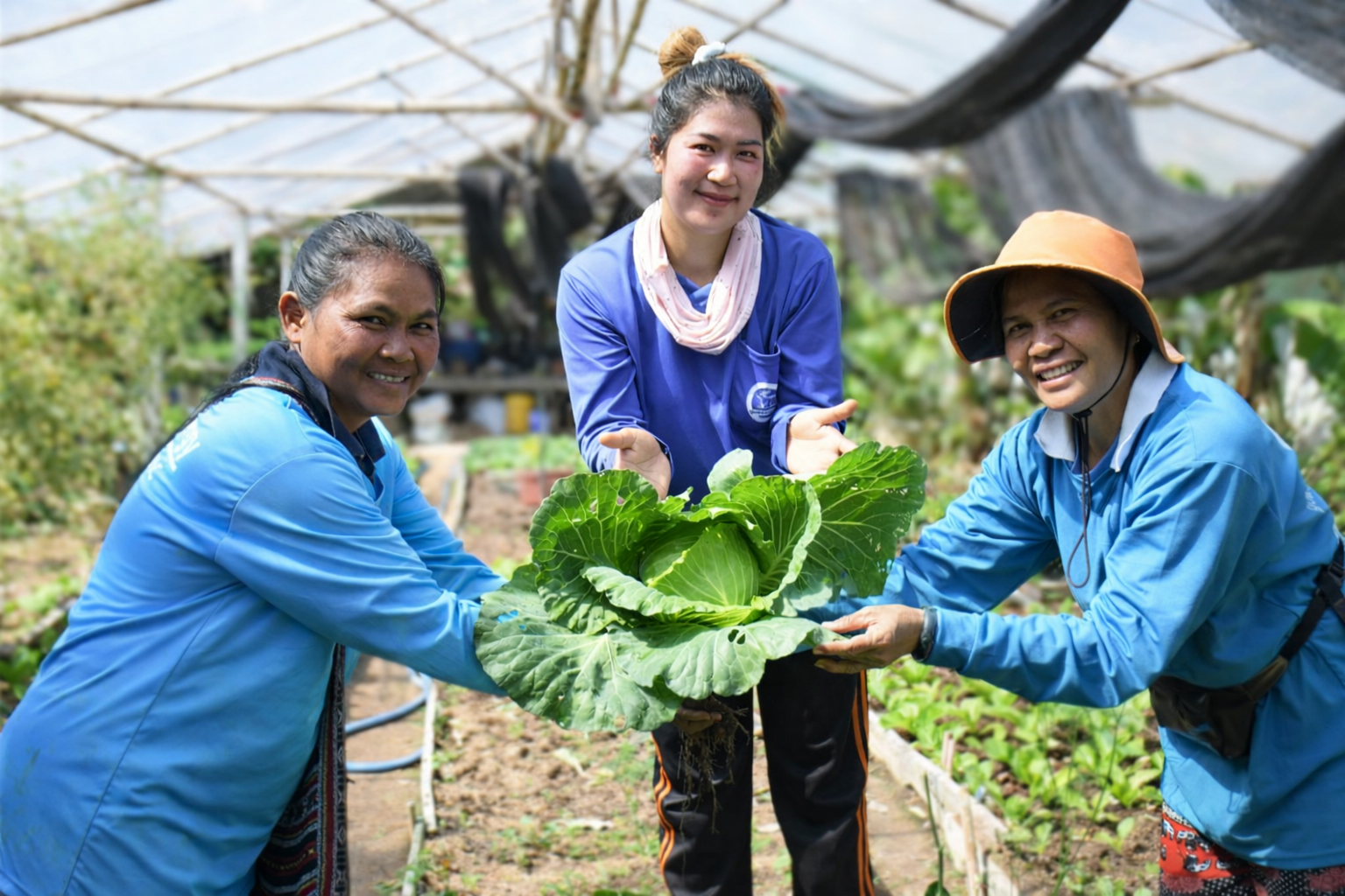 พยัคฆ์กุลา: เมล่อนหวาน ผักปลอดสาร ทานปลอดภัย