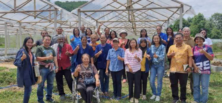 ย่างก้าวสำคัญของ “เครือข่ายผู้ผลิตผักอินทรีย์จังหวัดสงขลา” สู่ตลาดโมเดิร์นเทรด ย่างก้าวสำคัญของ “เครือข่ายผู้ผลิตผักอินทรีย์จังหวัดสงขลา” สู่ตลาดโมเดิร์นเทรด