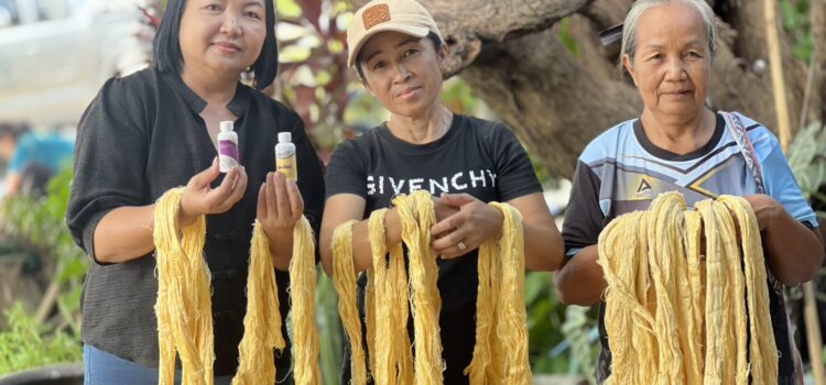 สท. ร่วมกับ ม.กาฬสินธุ์ เติมความรู้เจ้าหน้าที่-กลุ่มทอผ้า ยกระดับสิ่งทอพื้นเมืองด้วยเทคโนโลยี สท. ร่วมกับ ม.กาฬสินธุ์ เติมความรู้เจ้าหน้าที่-กลุ่มทอผ้า ยกระดับสิ่งทอพื้นเมืองด้วยเทคโนโลยี