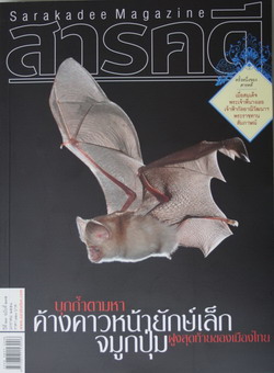 สารคดี ฉบับที่ 275 เดือนมกราคม 2551