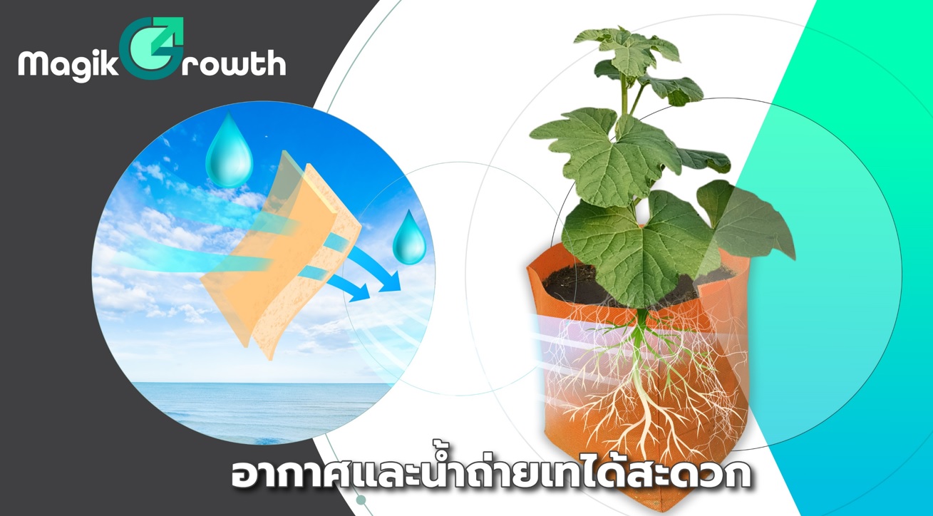 ถุงปลูก Magik Growth 