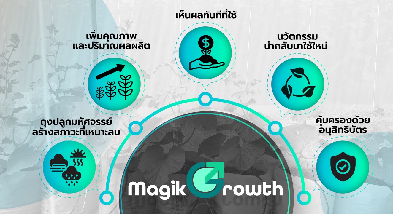 ถุงปลูก Magik Growth 