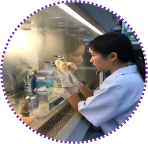 เสริมสร้างทักษะการทำโครงงานวิทยาศาสตร์ด้านพันธุศาสตร์โมเลกุลพืชและจุลชีววิทยาสำหรับเยาวชนไทย
