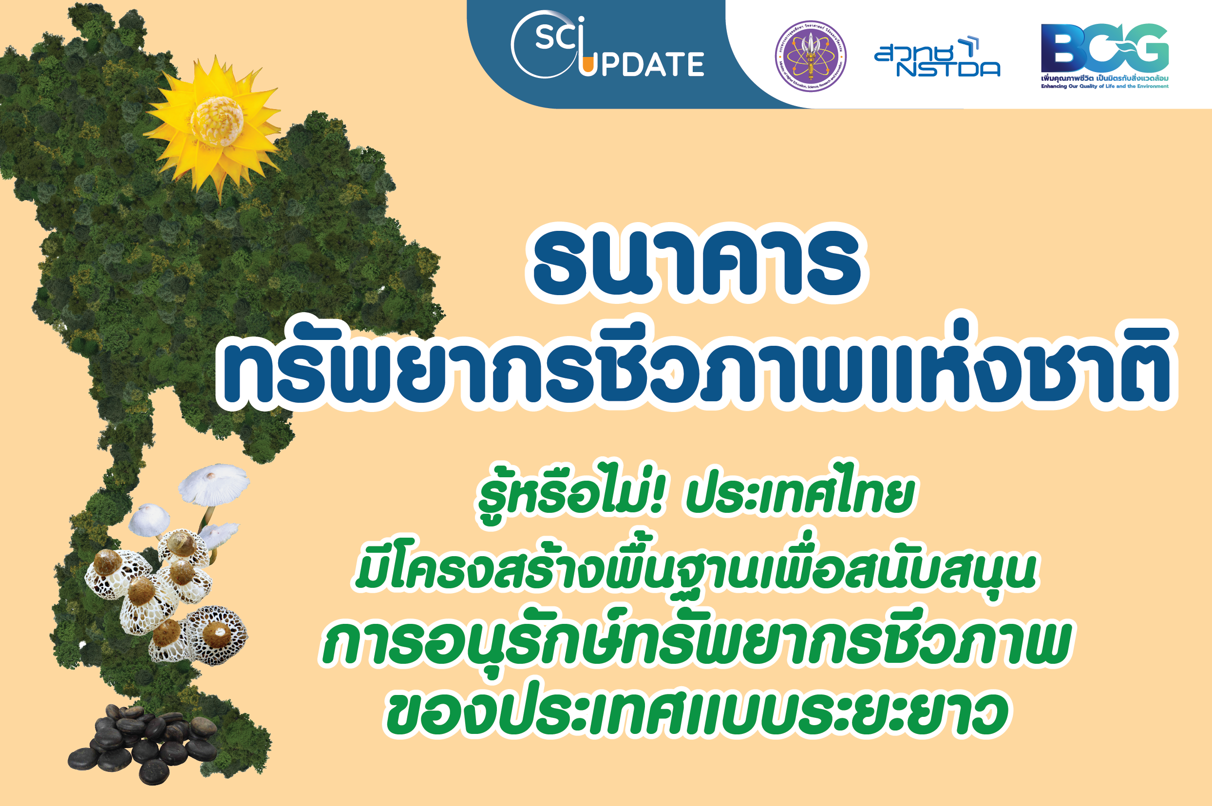 ธนาคารทรัพยากรชีวภาพแห่งชาติ (National Biobank of Thailand: NBT)