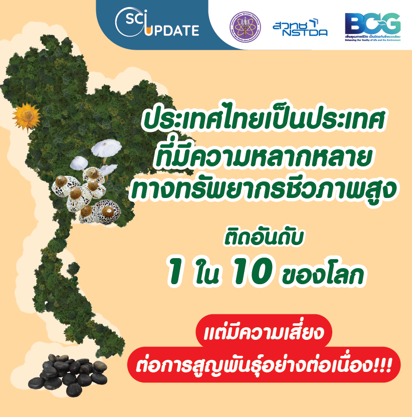 ธนาคารทรัพยากรชีวภาพแห่งชาติ (National Biobank of Thailand: NBT)