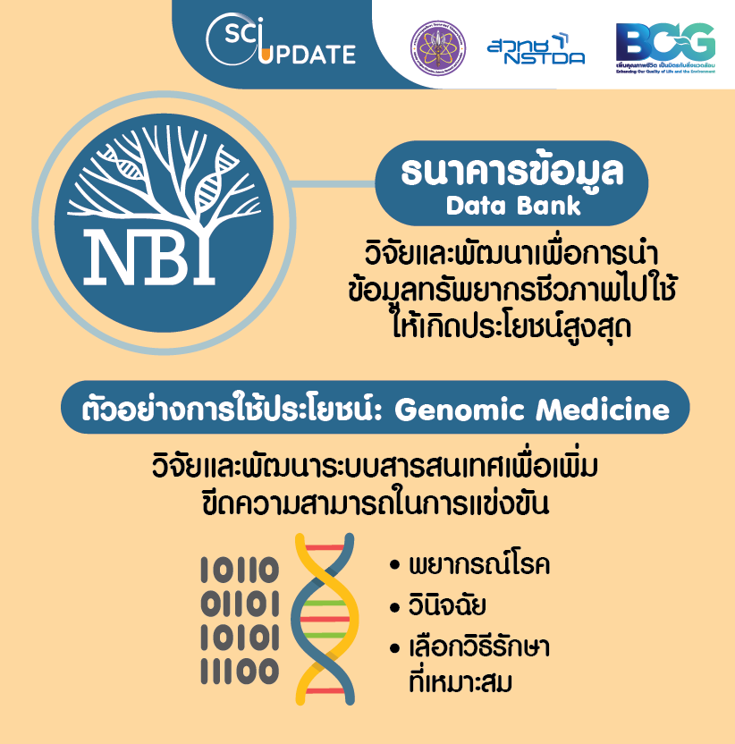 ธนาคารทรัพยากรชีวภาพแห่งชาติ (National Biobank of Thailand: NBT)