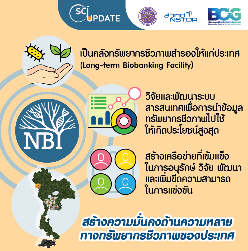 ธนาคารทรัพยากรชีวภาพแห่งชาติ (National Biobank of Thailand: NBT)