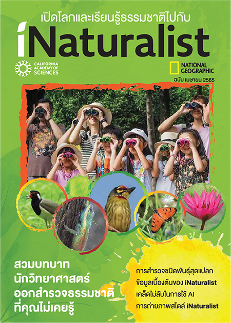 iNaturalist