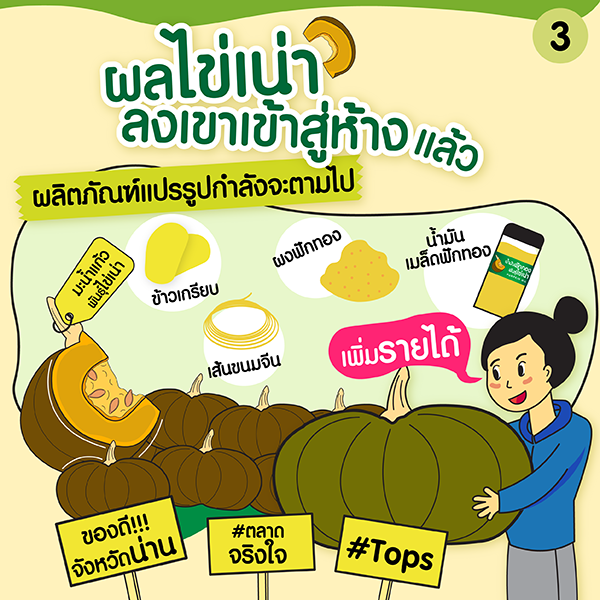 อนุรักษ์ ‘พันธุ์ฟักทองไข่เน่า’ พืชอัตลักษณ์เมืองน่าน