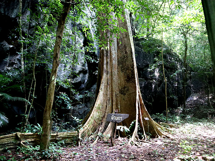 สำรวจอุทยานธรณีโลกสตูล สร้างองค์ความรู้สู่ ‘นวนุรักษ์แพลตฟอร์ม’