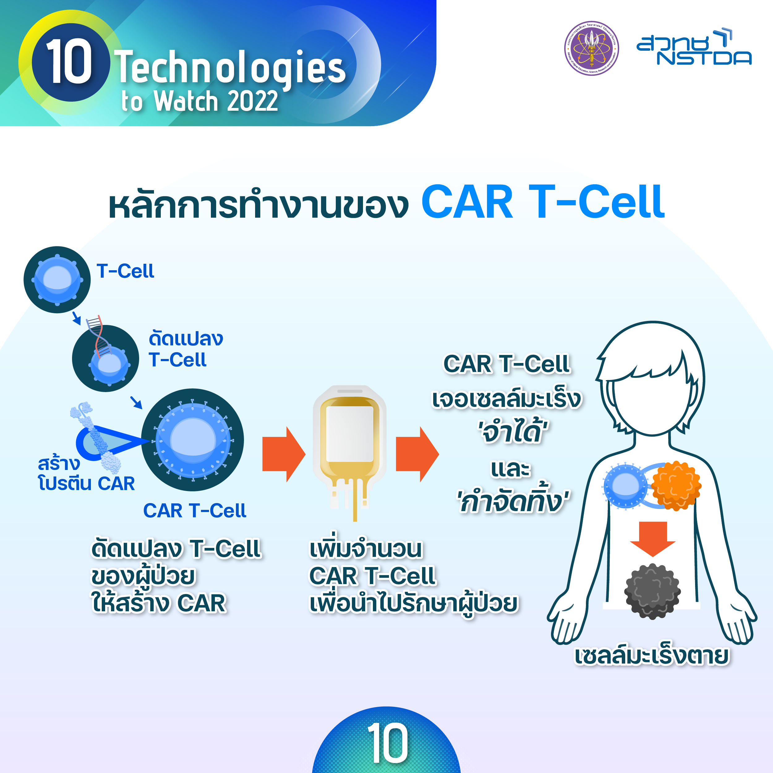 การรักษามะเร็งด้วยภูมิคุ้มกันแบบ CAR T–Cell (Chimeric Antigen Receptor T-Cell Therapy)