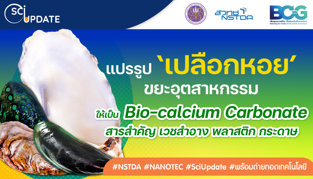แปรรูป ‘เปลือกหอย’ ขยะอุตสาหกรรม สู่ ‘สารสำคัญเวชสำอาง พลาสติก กระดาษ’
