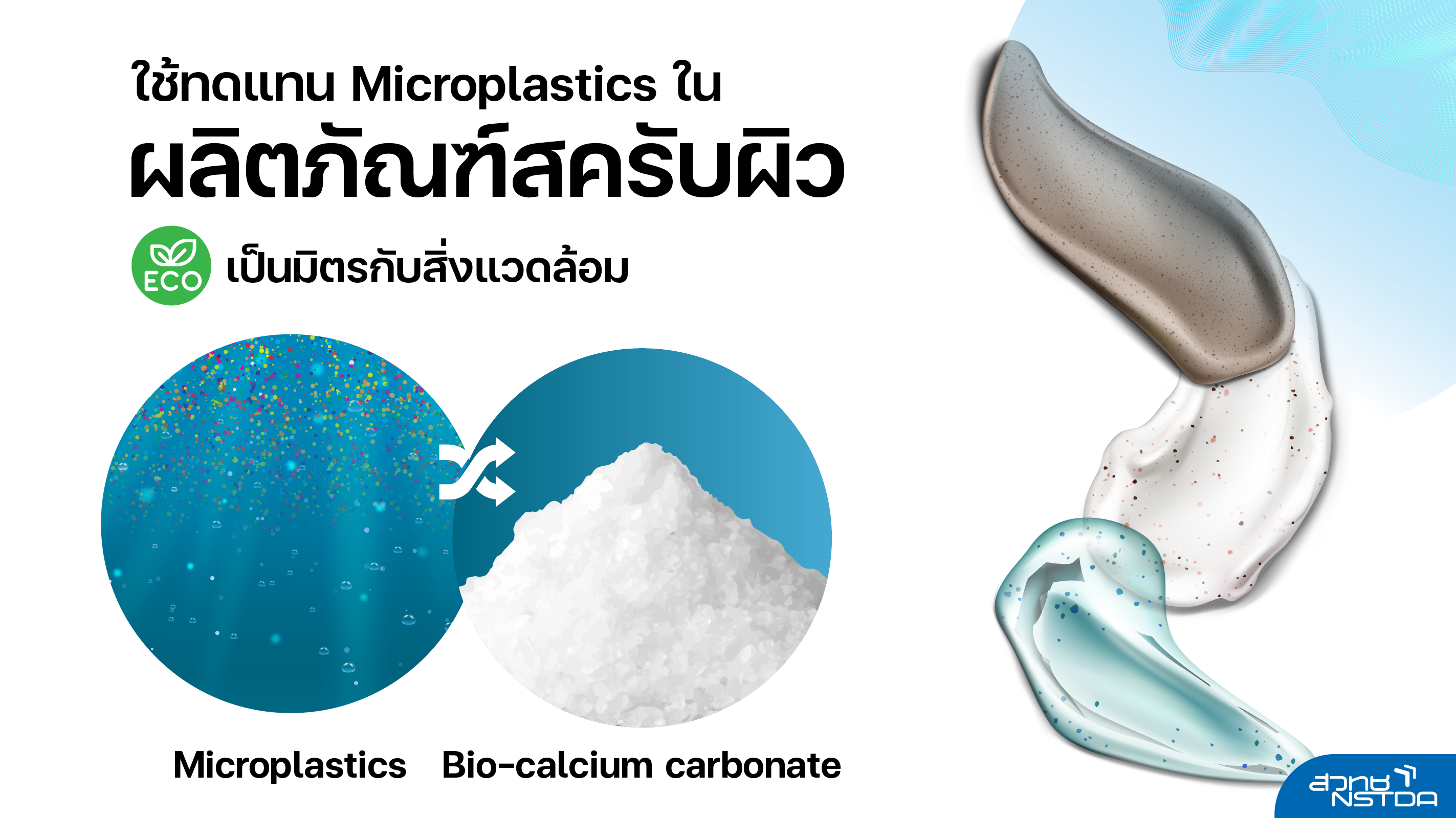 แปรรูป ‘เปลือกหอย’ ขยะอุตสาหกรรม สู่ ‘สารสำคัญเวชสำอาง พลาสติก กระดาษ’