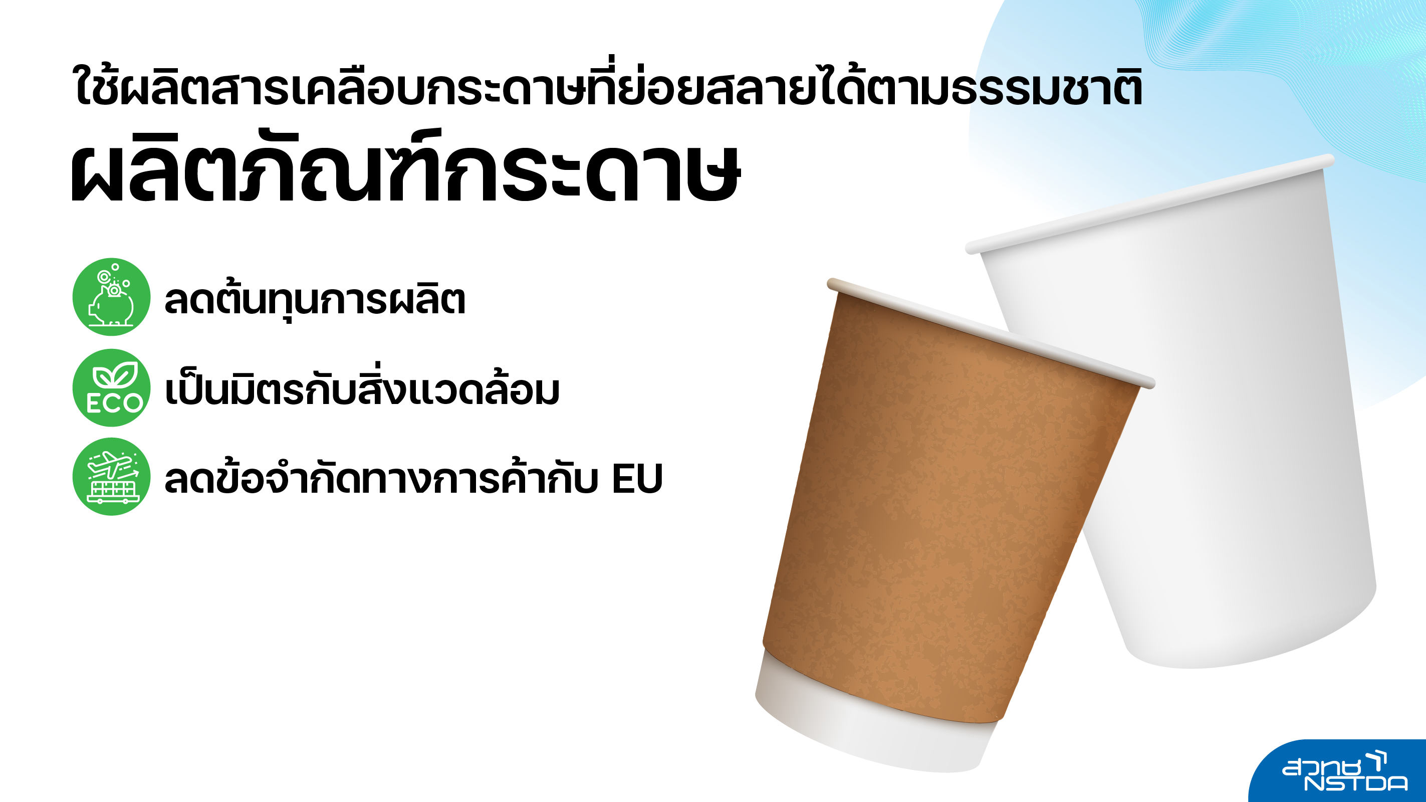 เปลี่ยน ‘เปลือกหอยแมลงภู่’ เป็น ‘สารเคลือบกระดาษ’ และ ‘สารดูดซับคราบน้ำมัน’ สร้างมูลค่าเพิ่ม เสริมความเป็นมิตรกับสิ่งแวดล้อม