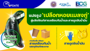 เปลี่ยน ‘เปลือกหอยแมลงภู่’ เป็น ‘สารเคลือบกระดาษ’ และ ‘สารดูดซับคราบน้ำมัน’ สร้างมูลค่าเพิ่ม เสริมความเป็นมิตรกับสิ่งแวดล้อม