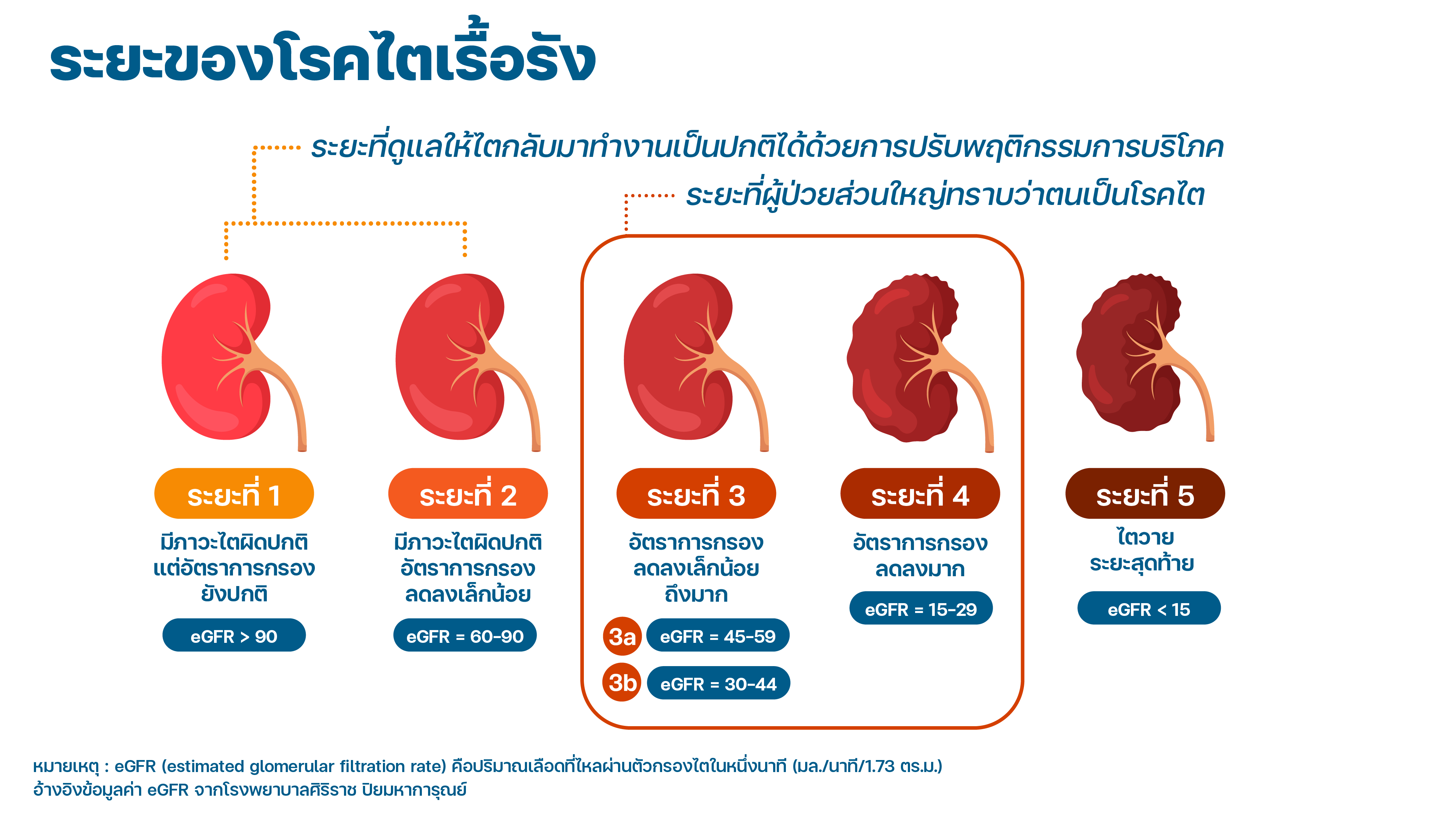 นาโนเทค สวทช. พัฒนา ‘ชุดตรวจโรคไตรู้ผลได้ใน 5 นาที’ มุ่งเพิ่มโอกาสคนไทยรอดพ้นจากโรคไตเรื้อรัง