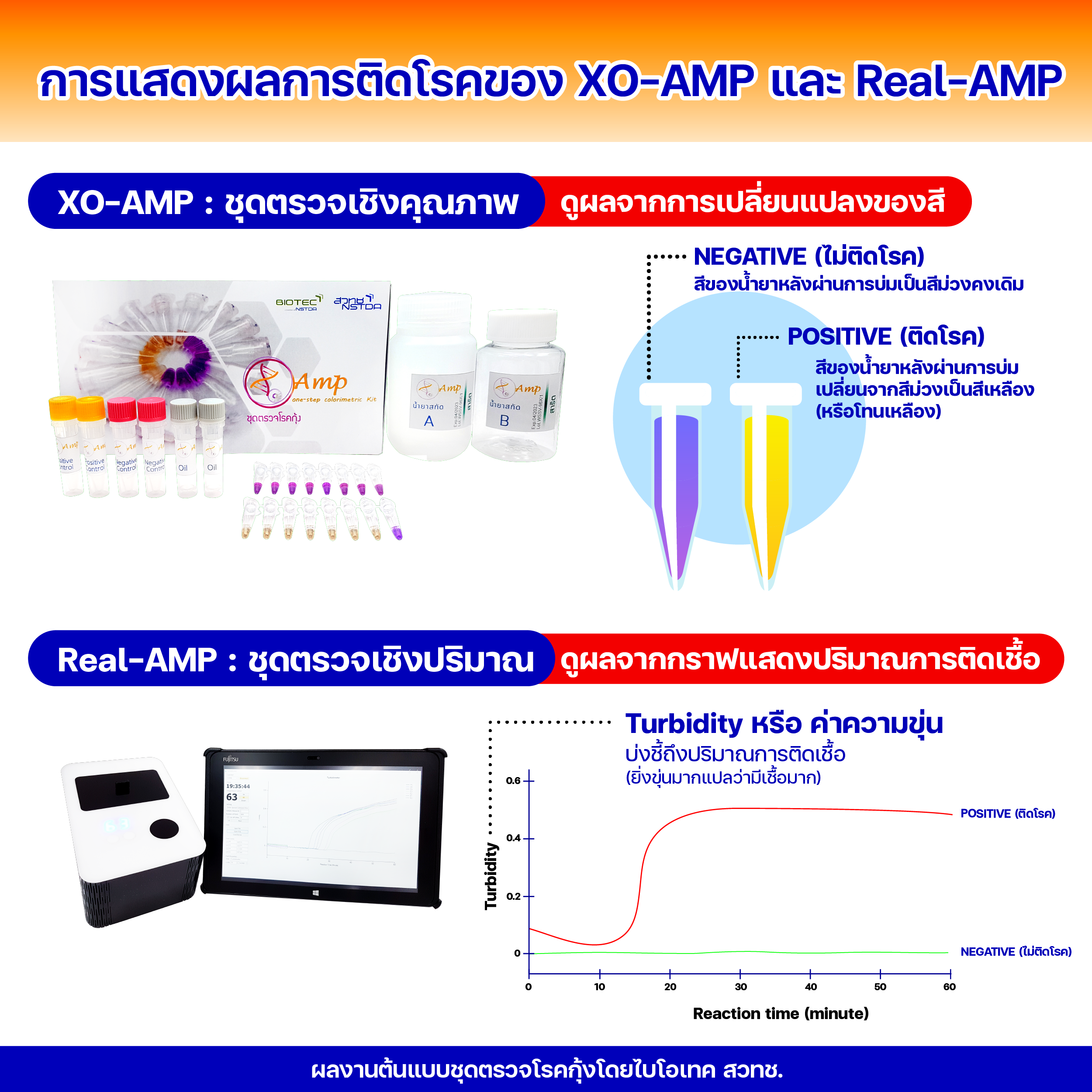 ไบโอเทค สวทช. พัฒนา ‘ชุดตรวจโรคกุ้ง 4 ชนิดที่พบบ่อยในไทย’ ตรวจง่าย รู้ผลไว ต้นทุนต่ำ แม่นยำสูง